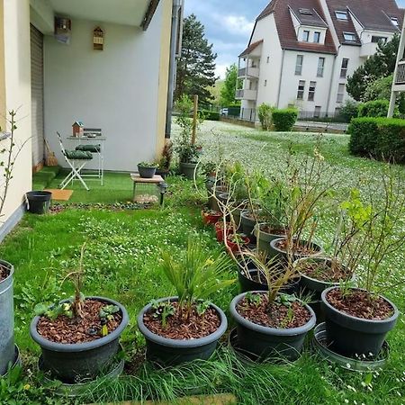 L'Univers Au Blanc. Strasbourg Bagian luar foto