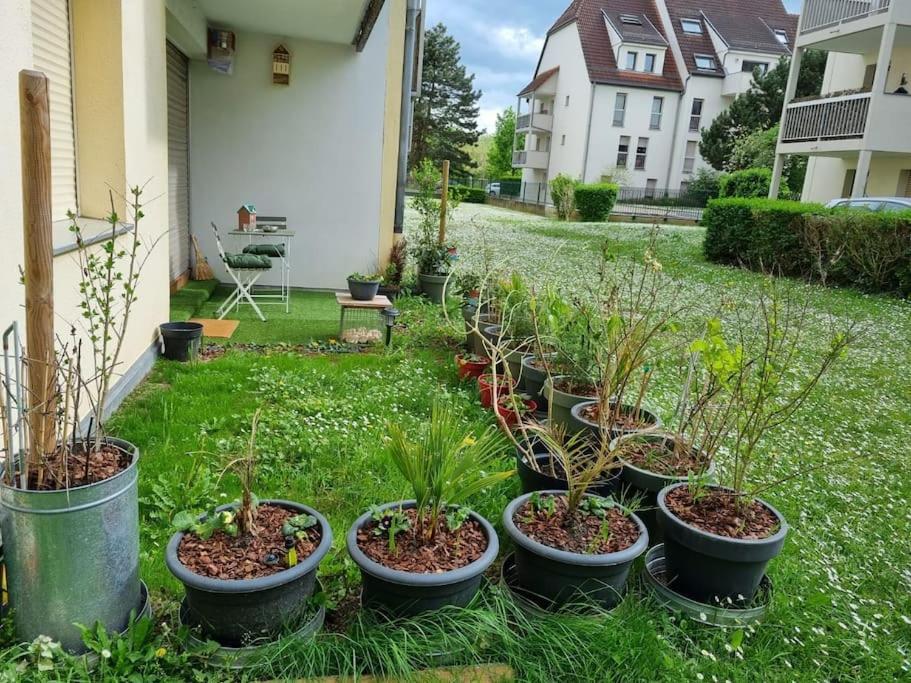 L'Univers Au Blanc. Strasbourg Bagian luar foto